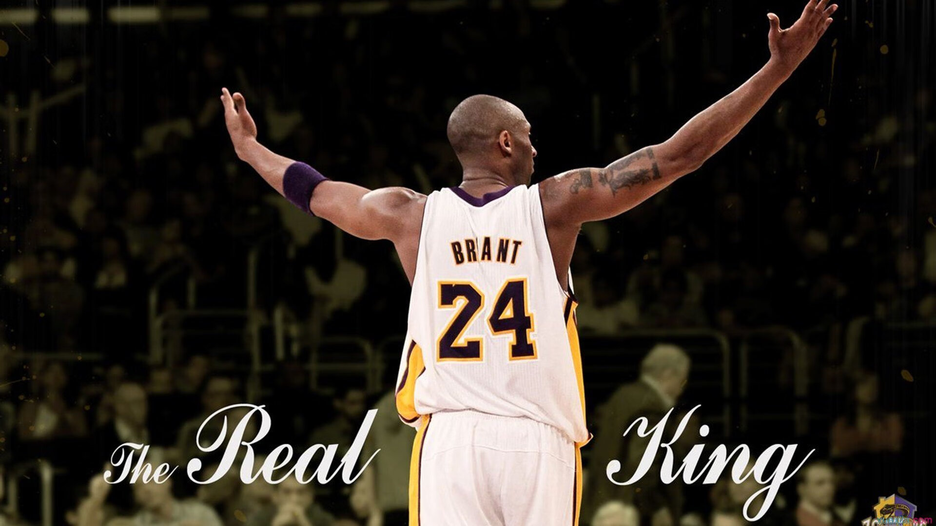 移动应用 -Doinb新星表现优异表现突出，G2前途光明！热度持续攀升